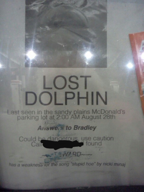 dang it i hate when i lose my pet dolphin - meme