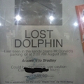 dang it i hate when i lose my pet dolphin