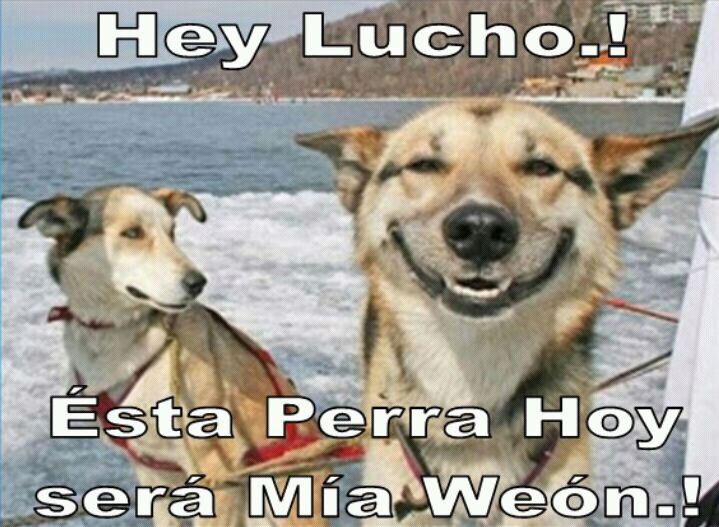 Hey Lucho.! - meme