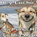 Hey Lucho.!