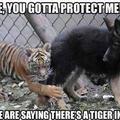 tough tiger