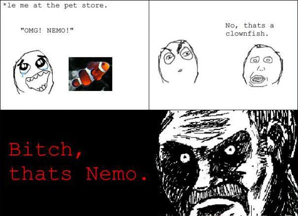 its nemo..... - meme