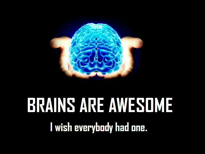 brains! - meme