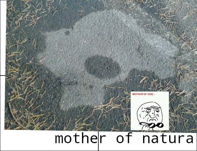 mother of natura - meme