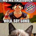 ohh Goku