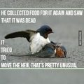 commented item thumbnail