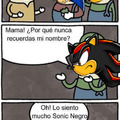 Pobre Sonic Negro