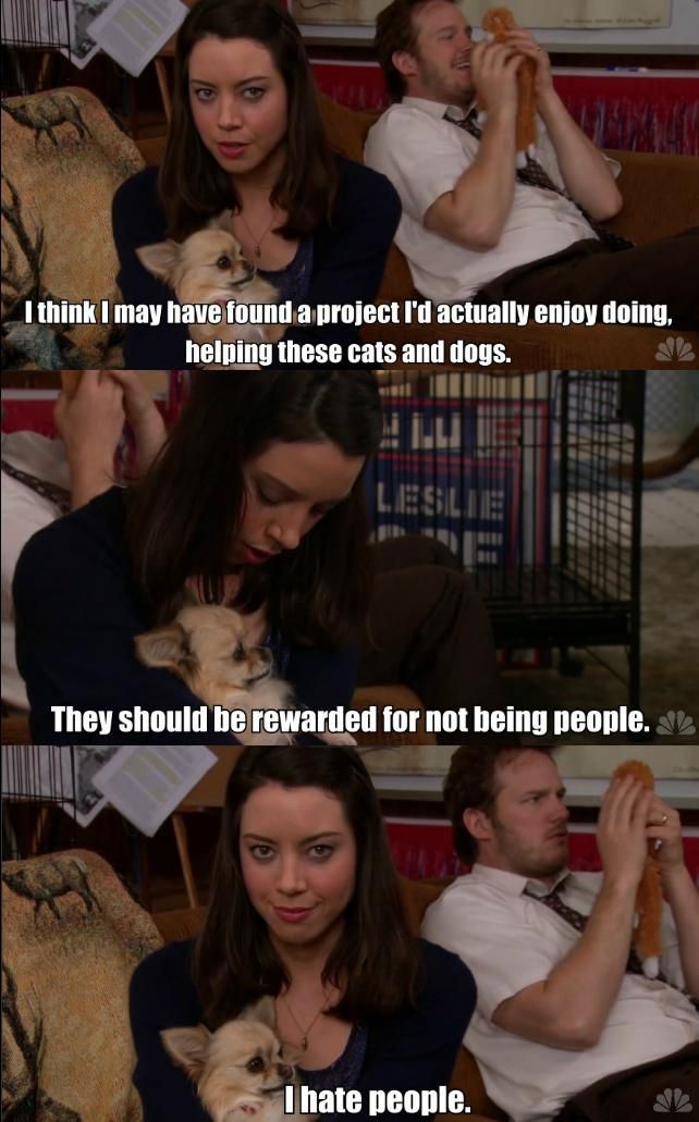 Parks and Recreation . It's awesome ! - meme