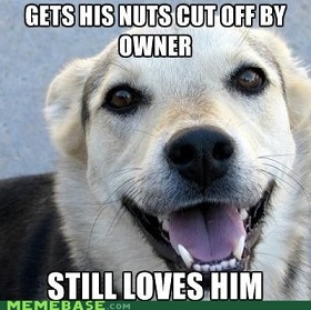 yet another dog picture - meme