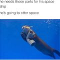 Otter space 
