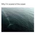 why im scared of the ocean