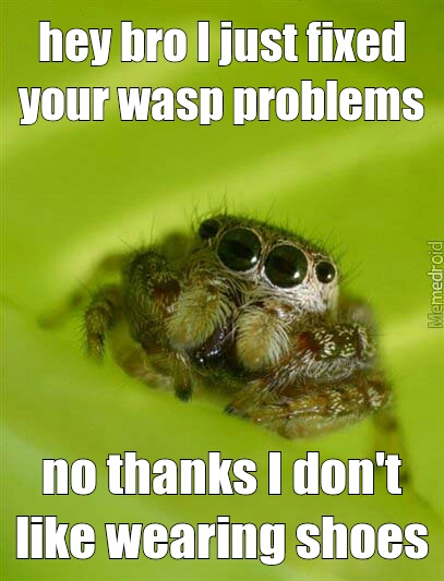 wasps - meme