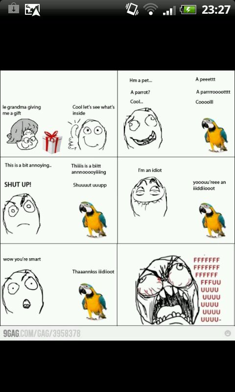 parrot - meme