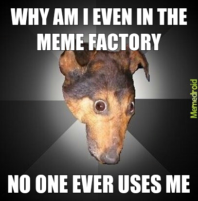 depressed dog meme