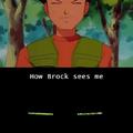 Brock Vision