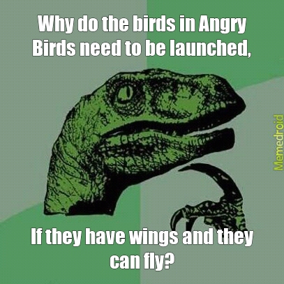 Stupid Birds - meme