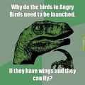 Stupid Birds