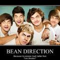 bean direction