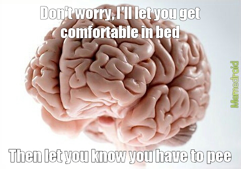 scumbrain - meme