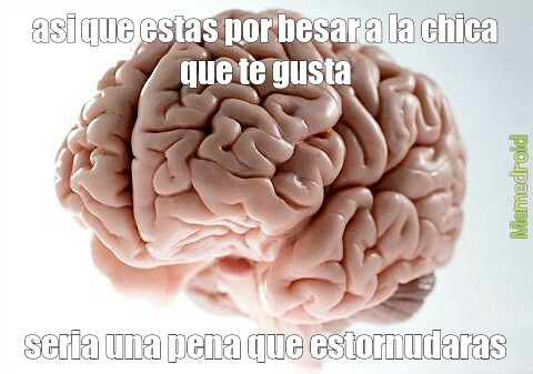 cerebro hdp - meme