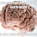 cerebro hdp