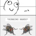 flies evil..