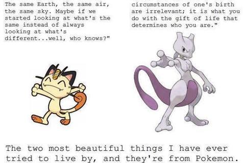 Pokemon has it's beautiful moments - meme