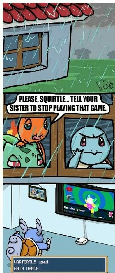 squirtle - meme