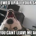 commented item thumbnail