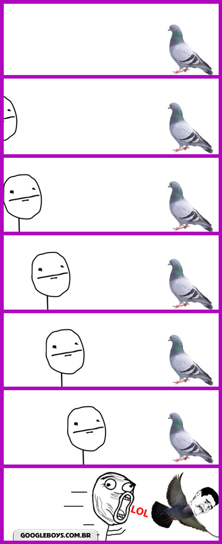 Seção pombos #3 - meme