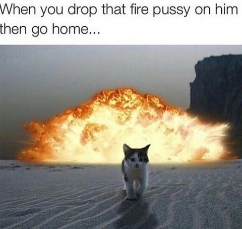 Fire Pussy Strikes Again. - meme