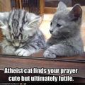 atheist cat #1