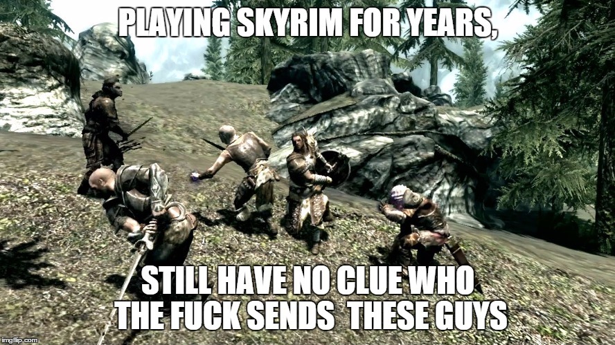 Skyrim Mercenaries - meme