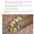 Pythons 