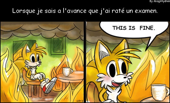 tails,AkagiHydren,meme,memes,gifs,funny,pictures,pics,gif,comic.