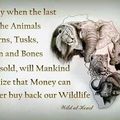 Support WWF to bring back our wildlife