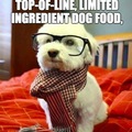 Hipster pets