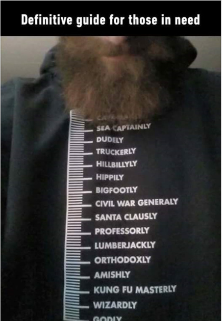Beards are Awesome - meme