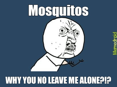 mosquitos - meme