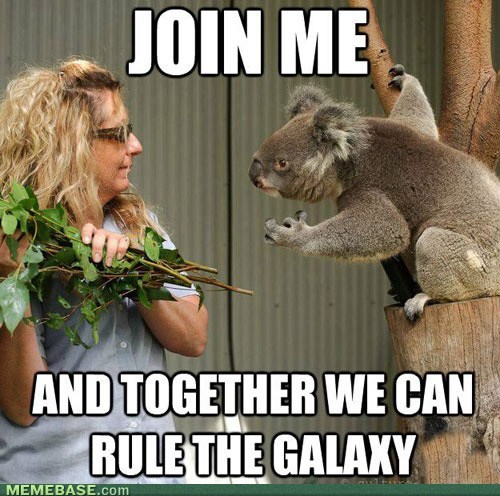 Darth Koala! - meme