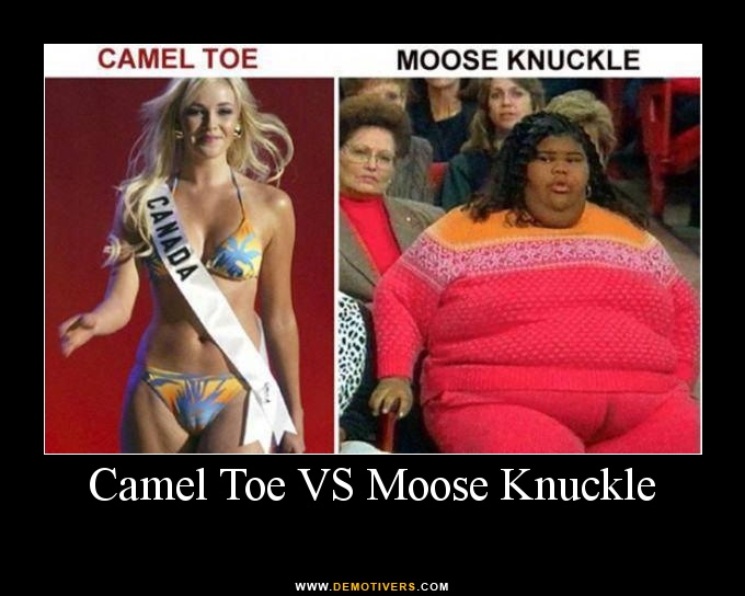 moose knuckle.
