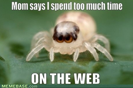 Poor spider - meme