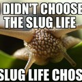 Slug Life niwwa tillbI die.