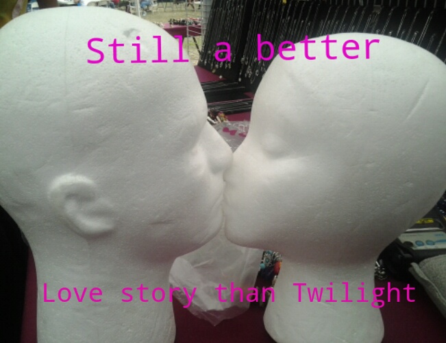 Everything is a better love story than twilight - meme