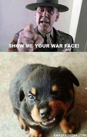 war face - meme