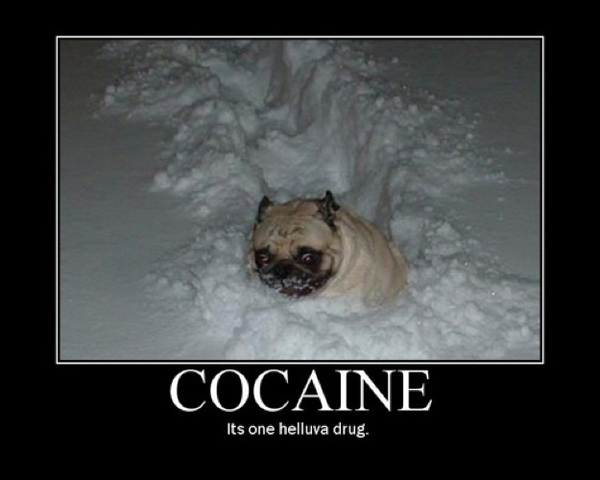 mmm cocaine - meme