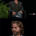 Between two ferns...