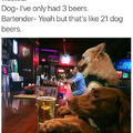 21 beers