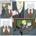 cat business