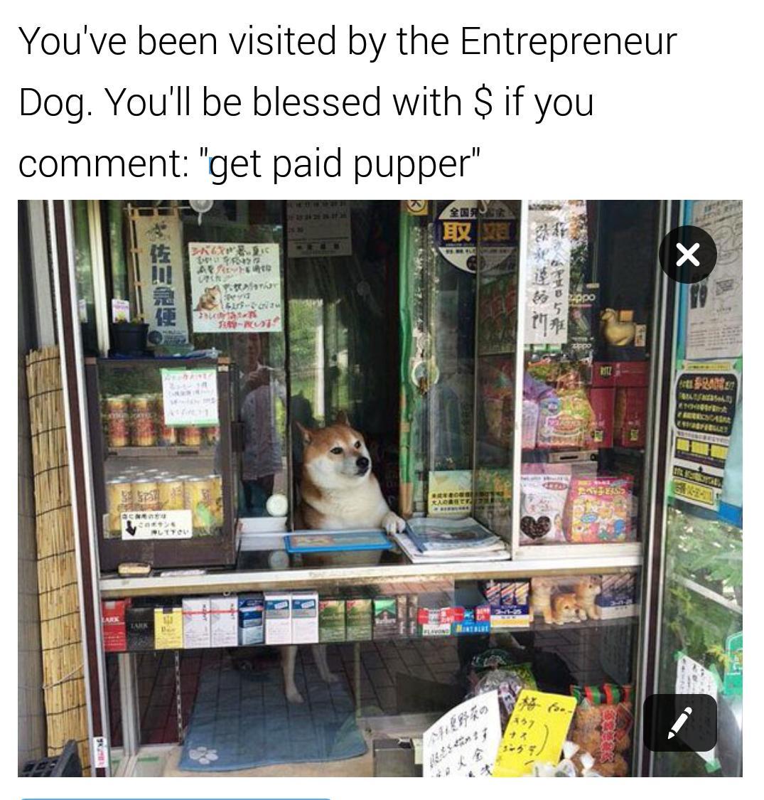 Get paid pupper - meme